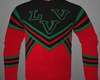 V 2054 Sweater