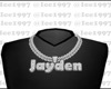 Jayden custom chain