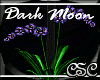 {CSC} Dark Moon Orchid