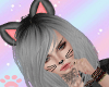 🐾 Kitty Cat Ears