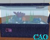 CAO Aquarium