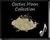 *4aS* Cactus Moon Hay