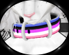 Pride Collars - GndrFld