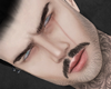 @ Leonardo MH scar