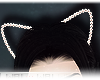 "Cat Ears
