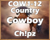 Cowboy