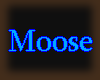 Moose Leopard | Ears V1