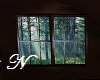 Window  ~Rain Forest