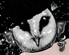 Elh Owl Pet ☽