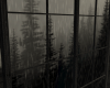 I. Rainy Window