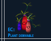 EC:plant derivable