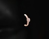 RG Brow Piercing (L)