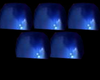 $ Burning Blue e