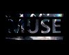 Muse Into the night Club