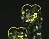 ² Yellow Heart Plant