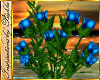 I~Blue Roses & Ferns