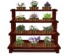 Herbalist Shelf