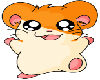 Hamtaro