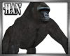[H]Gorilla ►Furn