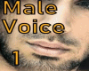 Male Voice