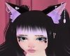 ♡𝓩♡NekoEarsBubgum