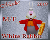 !a Avatar White Rabbit