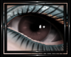 !T! Eyes | Clio Brwn Drk