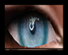DL EYES BLUE 2025