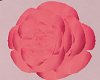 JZ Deco Rose Pink 1