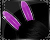 HP|Purple Bunny Ears