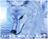 ! Arctic Ice Wolf Animat