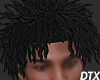 DTX - CARTER DREADS
