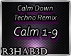 Calm Down (TECHNO REMIX)