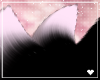 兎. Tennin | Tails