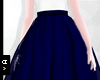 Ⓐ Navy Long Skirt