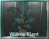 Serene Willow Plant