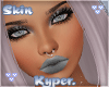 K l Silver Dream T3