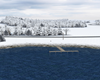 Winter in the Coutry