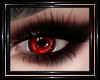 !T! Gothic | Nyx Eyes R