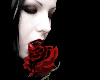 Vampires Rose Sticker