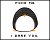 penguine