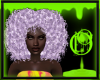 Amma Loo Lilac