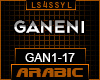 GAN - ELYANNA