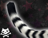 Ringtail Lemur Tail