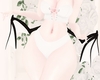 Succubus Wings White B