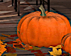 Pumpkins Decor