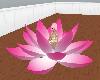 Lotus meditation 7