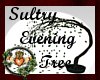 Sultry Evening Tree