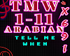 !69!- Arabic song TMW