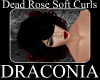 Dead Rose Soft Curls